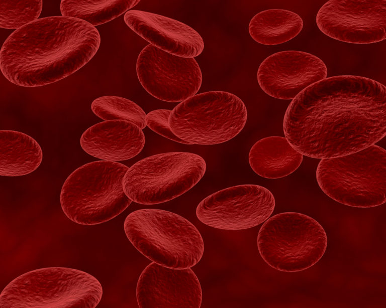 conjunto de células sanguíneas, leucemia